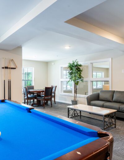 The Room Features Blue-Felted Pool Table