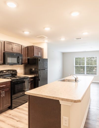 Modern Kitchen Interior